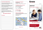 Flyer - Mentor